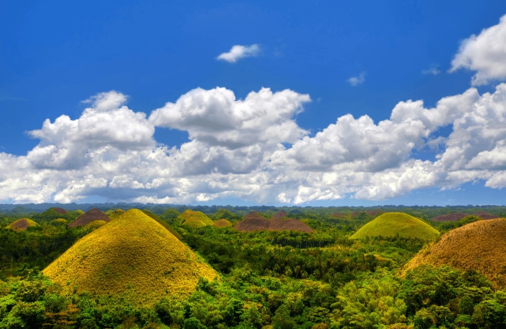 Bohol Tour Packages | CA Travel Services